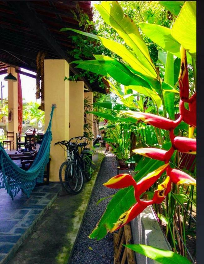 Villa Albardao Serrambi Pôrto das Galinhas Kültér fotó